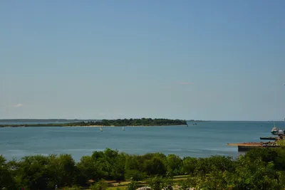 DSC_4583 (Large).JPG